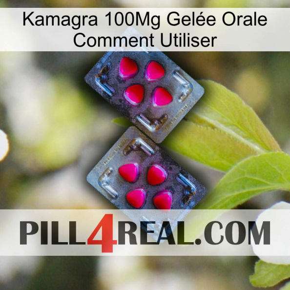 Kamagra 100Mg Gelée Orale Comment Utiliser 15